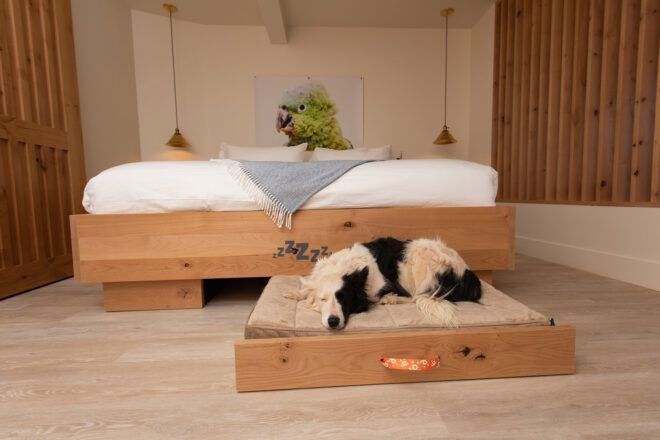 A dog sleeping on a dog bed in front of a human bed