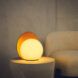 A circular lamp with a circular backing connected to it