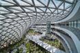 Glass ceiling above an indoor garden