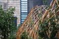 A lattice dome structure