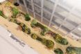 A strip of garden between two buildings