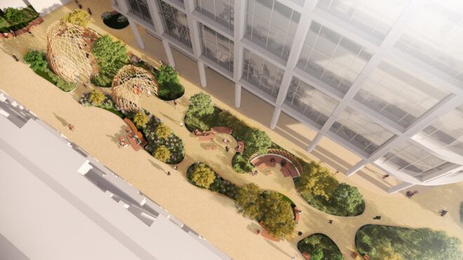 A strip of garden between two buildings