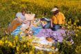Two people laid out on blankets in a flower field