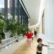 Children running through a narrow corridor with tall windows flanked by large plants