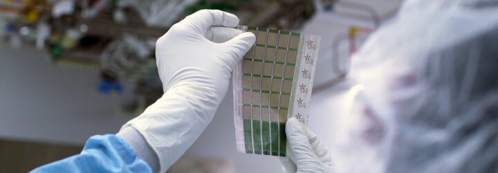 A researcher holding a thin photovoltaic sheet