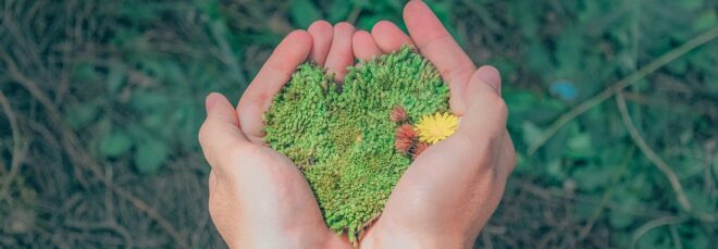 Two hands cupping moss to shape like a heart in the palm of their hands