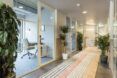 Hallway flanking workspaces with indoor planters