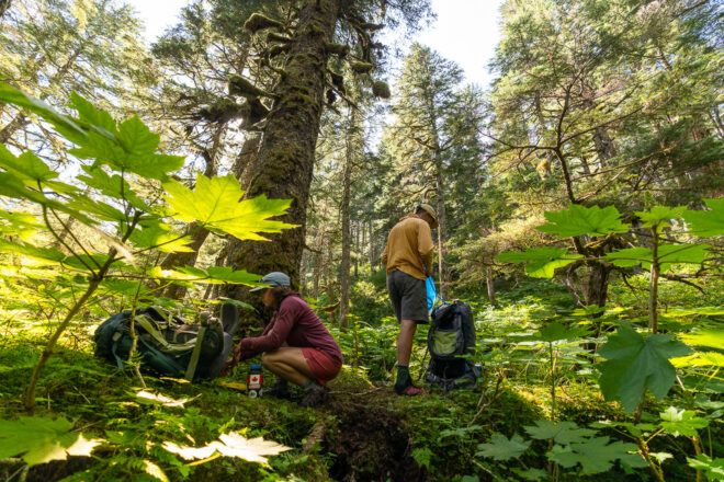 Two people standing and squatting within a forest