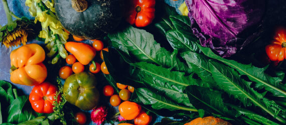 An assortment of vegetables laid out on a blue blanket