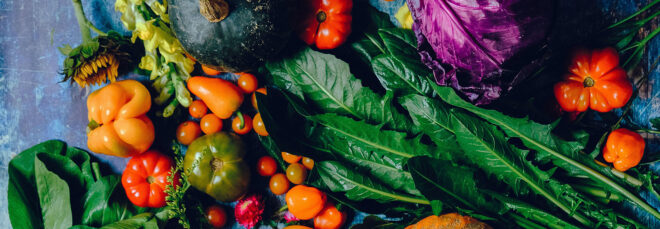 An assortment of vegetables laid out on a blue blanket