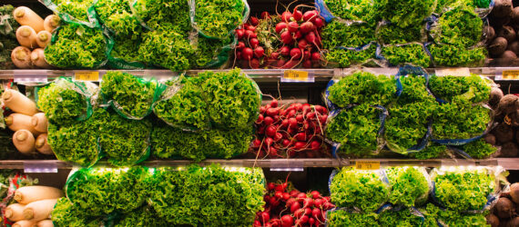 Three rows of produce, including lettuce, carrots and radish