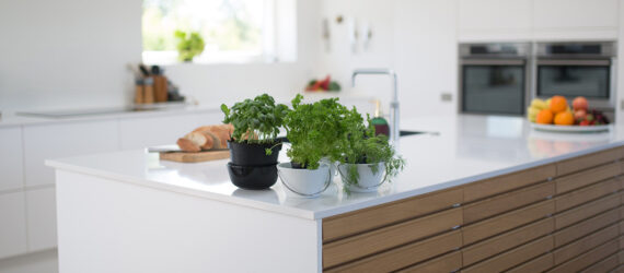 A kitchen with an island filled with potted plants and fresh groceries