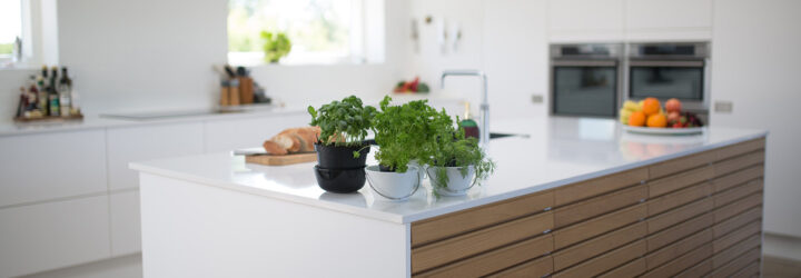 A kitchen with an island filled with potted plants and fresh groceries