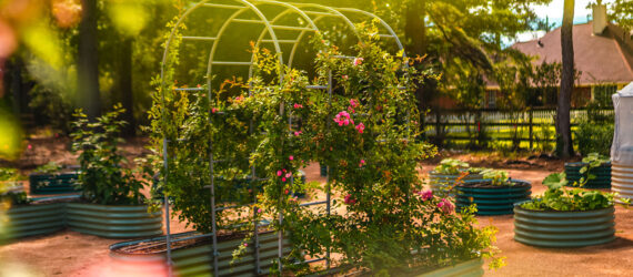 Up close of a garden with planters