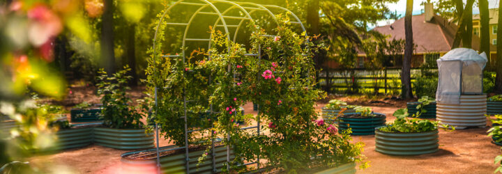 Up close of a garden with planters