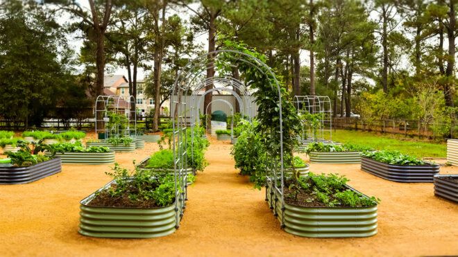 A garden of planters