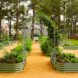 A garden of planters