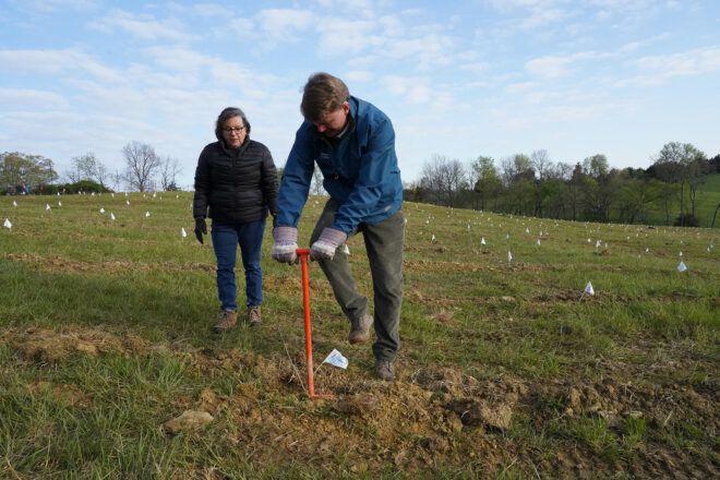 Two people standing in a field, one of the person has a stick stuck into the soil