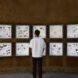 Man looking at a display two rows of insects