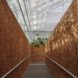 Labyrinth walkway with thick earthy walls