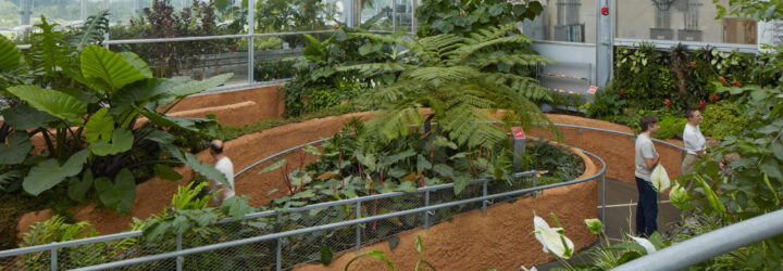 Visitors walking on a ramp that weaves through clusters of plants