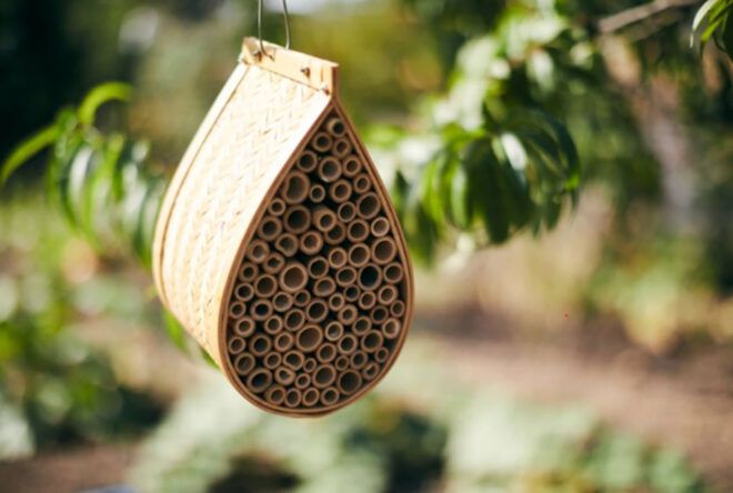 A wooden teardrop with multiple circles in the center of the wooden piece hanging from a tree