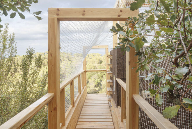 View from a walkway that projects into a lush forest