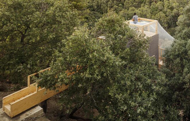 Raised timber structure that looks out towards a dense forest