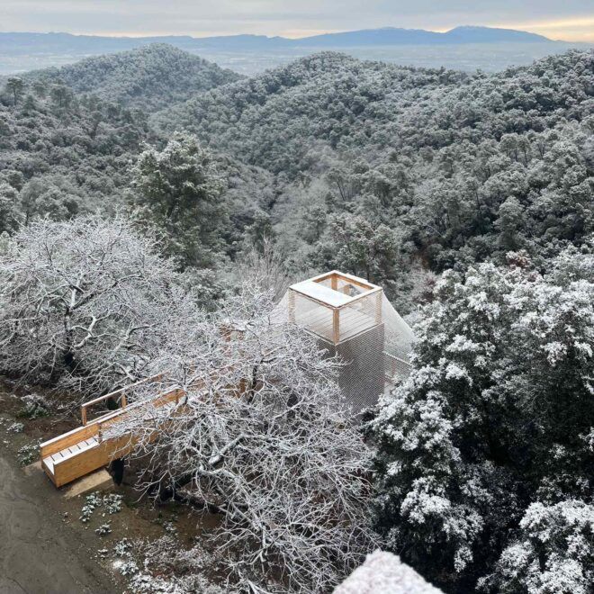 Raised timber structure that looks out towards a dense, snowy forest