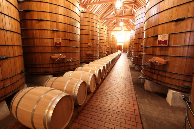 Barrels standing up with barrel laying on the side in a winery