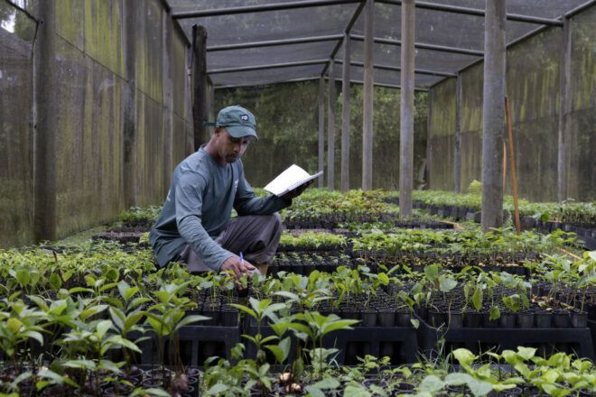 Man tracking seedlings at a nursery