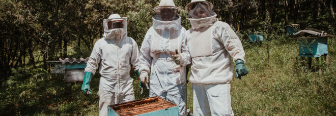 Three people in white bee suits standing behind a bee home
