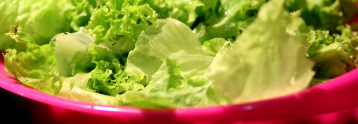 A pink bowl filled with lettuce