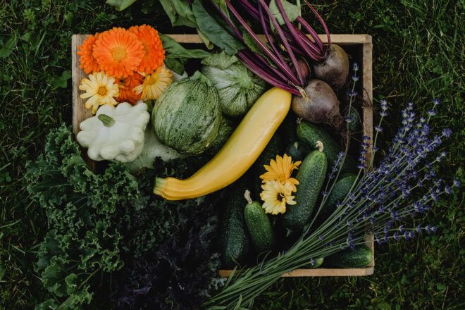 A box of vegetables