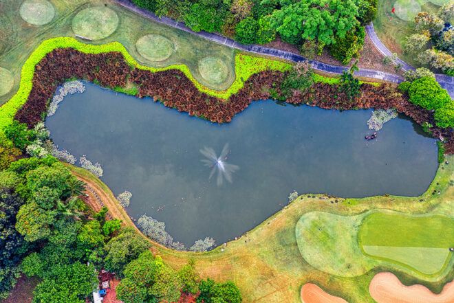 An aerial view of a pond within a garden