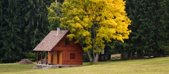 A small wooden cabin in the middle of a field with a large tree behind it