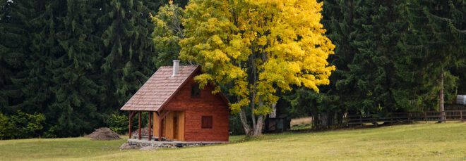 A small wooden cabin in the middle of a field with a large tree behind it