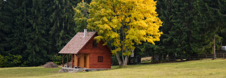 A small wooden cabin in the middle of a field with a large tree behind it