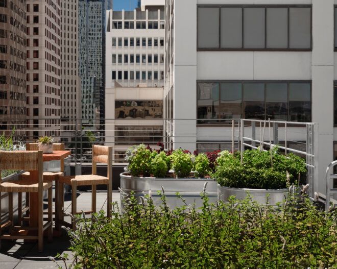 A rooftop seating area with planters overlooking skyscrapers