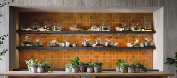 A work space with a wall of shelves with supplies