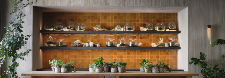 A work space with a wall of shelves with supplies