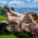 An up-close details of a tree trunk