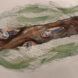 A drawing of a tree stump with people lying in its crevices