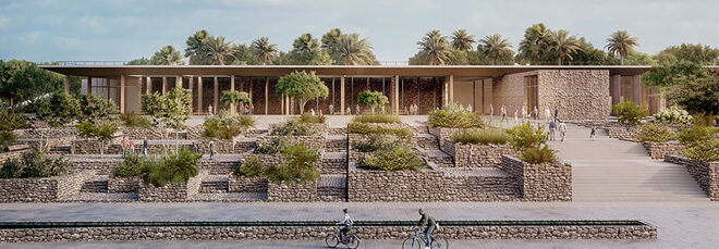 A building with a desert garden in front of it