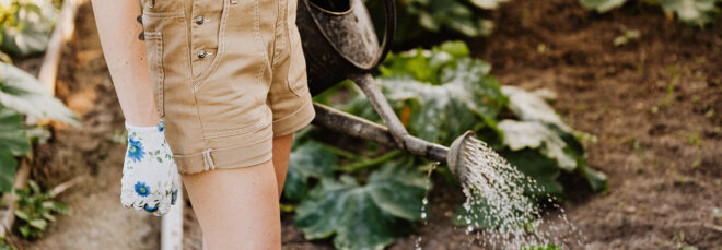 The lower half of a person holding a water can over a garden bed