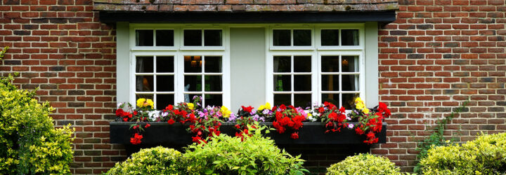 A window to a brick home with bushes