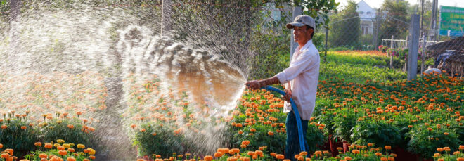 A man holding a hose and sprinkling over a bed of flowers