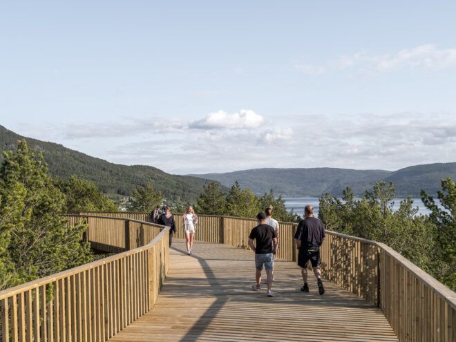 A wooden pathway within a forest