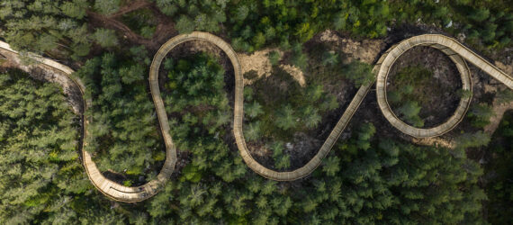 An aerial view of a trail through a forest