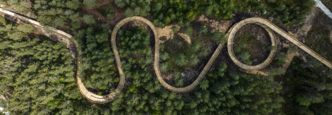 An aerial view of a trail through a forest